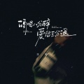王虹-王棚主 - 酒喝八分醉爱留三分退
