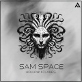 Sam Space - Flakes