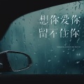 小多 - 想你爱你留不住你