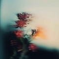 吴悦悦 - 别让爱凋落