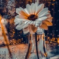 Aurora Valess - Dark Thought