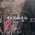 郑大钱 - 梦驼铃