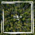 霄磊 - 竹影中