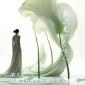 酒儿 - 我只是一个女人