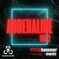 Pitch Hammer、Hector Soler Montaner、Matias Castro Cancino - Overdrive Protocol