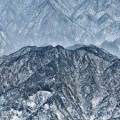刘玺樾 - 人生是旷野不是轨道