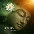 Solan Rey - Energy Flow