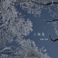 吹福、刘芮 - 小转角