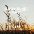 董老师 - 喝酒喝到我心碎