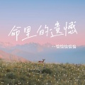 恰恰恰恰恰 - 命里的遗憾