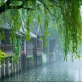 中国风经典名曲 - 细水长流