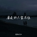 轻烟大叔 - 要走的人留不住