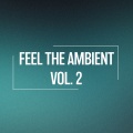 Feel the Ambient, Vol. 2