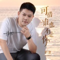 可惜谁也不是你