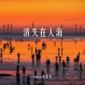 Felicia蔡菲凡 - 消失在人海
