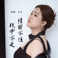 大美 - 情留不住钱带不走
