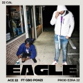 ACE 22、G'Bo Ponzi、EZ22 - Eagle