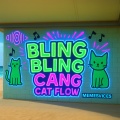 Bling Bling Bang Cat Flow
