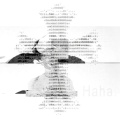 LOLO MM、Hielo - Haha!