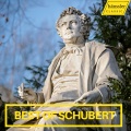 Best of Schubert