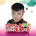 杨鹏飞 - 陪你渡红尘