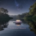 Celestial Bloom: Chilled Relaxation and Meditation Music