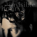 joe henry、Lisa Hannigan - Lead Me On