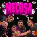 Melosa (feat. Stendhal) [Explicit]