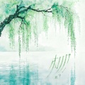 刘宇 - 柳