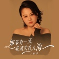 影子 - 如果有一天我消失在人海