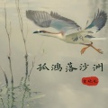 贾晓龙 - 孤鸿落沙州