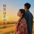 情哥远走泪儿流（DJ版）