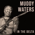 IN THE DELTA