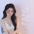 米灵 - 你凭什么伤我的心