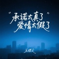 王理文 - 承诺太真了爱情太假了