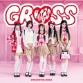 HITGS - GROSS