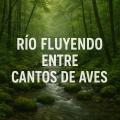 Sonidos de aguas tranquilas - Río Fluyendo con Trinos Serenos