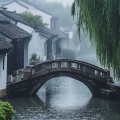 若喜 - 年轮