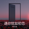 未来之音 - 遇你犹如初恋