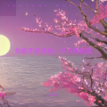 莫浩鸣 - 你能不能借我一点点桃花运