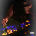 NO EMOTIONS (Explicit)
