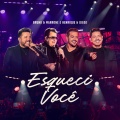 Esqueci Você (Ao Vivo)