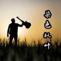 罗理春 - 不装饰你的梦