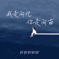 恰恰恰恰恰 - 我走向北你走向南