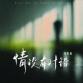 陈柏曦 - 情没有对错