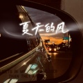 赵十三 - 夏天的风
