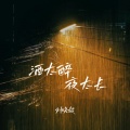 刘晓超 - 酒太醉夜太长