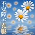 睡眠おすすめBGM音楽 - 夜 音楽