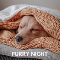 Furry Night