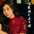 金钰儿 - 说爱我又丢下我